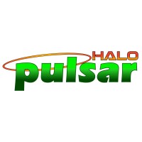Pulsar Halo logo - Similar company to Pulsar Alarm Systems Ltd