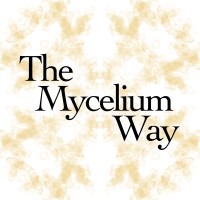 The Mycelium Way logo - Similar company to Mycelium