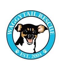 Waggytail Rescue
