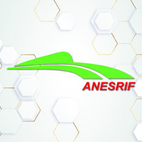 ANESRIF logo - Similar company to Mba Esg