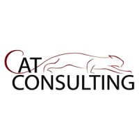 Cat Consulting logo - Similar company to Cat Consulting