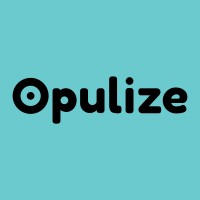 Opulize logo - Similar company to Rokne