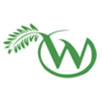 Wildinnovation logo - Similar company to Tfp Box,Lda