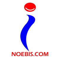 Noebis.com logo - Similar company to Noebis Group