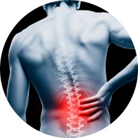 Back In Action logo - Similar company to Inspired Ergonomics