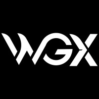 WaveGenX Teknoloji A.Ş. logo - Similar company to Stz Grup