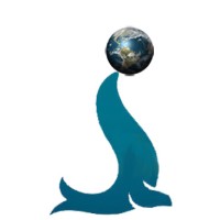 SEAL Soluciones Logísticas en el Mundo logo - Similar company to Ebex Logistics
