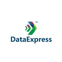 DataExpress Pvt Ltd logo - Similar company to Data Express