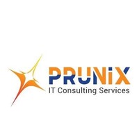 Prunix LLC logo - Similar company to Satyam Software Services And Solutions