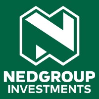 Nedgroup Investments Global Perspectives logo - Similar company to Bespoke Merchant Solutions