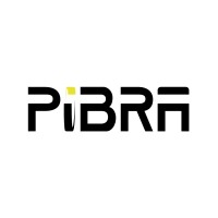 PIBRA - Industrial Solutions logo - Similar company to Nala Robotics, Inc.