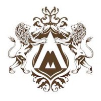 Acarer Metal logo - Similar company to Aveks As