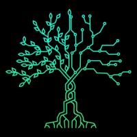 W3BTree Media 🌳 🎬 logo - Similar company to Lease Eaze, Inc.