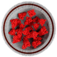 ACM Biosciences AG logo - Similar company to Salmon Pharma