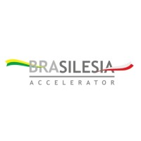 BraSilesia - Polish-Brazilian Acceleration Program logo - Similar company to Embassy Of Brazil In Warsaw - Trade & Investment