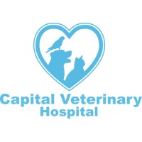 Capital Veterinary Hospital logo - Similar company to Sunrise Veterinary Service Pllc (Texas)