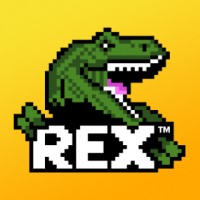 REXSCAN logo - Similar company to Digital Interruption