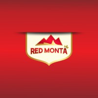 Redmonta logo - Similar company to Rough Gem Resources