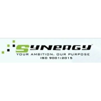Synergy Staffing & Consultancy Services Pvt. Ltd. logo - Similar company to Quality People Solutions