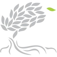 Mangrove Group logo - Similar company to Apw Construkt