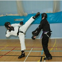 West Midlands Tae Kwon-Do logo - Similar company to Team Engine | Boxing
