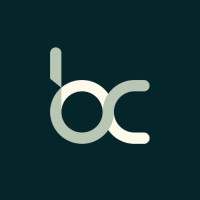 Brindley Capital Investments logo - Similar company to Lending Bridge