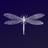 Dedham Retreats logo - Similar company to Briefly.Co