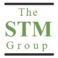 The STM Group logo - Similar company to Dubbii