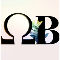 OMEGA Broadcasting logo - Similar company to Omega Broadcast