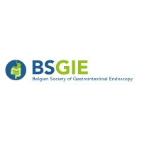 BSGIE logo - Similar company to Hivset