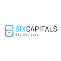 Six Capitals ESG Advisory logo - Similar company to Fortera