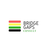 Bridge Gaps logo - Similar company to Capitalistfunder