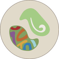 Chameleon Camps logo - Similar company to The Spartabots // Team 2976