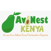 AvoNest Kenya logo - Similar company to Sofdi | Sustainable Organic Farming And Development Initiatives