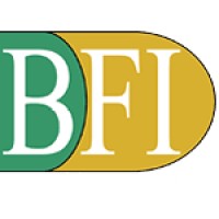 Bina Fiscal Indonesia - Tax Consultant and Training Center logo - Similar company to Ddwcomm