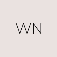 wn studio + store logo - Similar company to The Home Staging Team