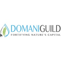 DOMANI GUILD logo - Similar company to Mp Morgan Energy