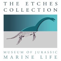 The Etches Collection logo - Similar company to The Brown Sign Project