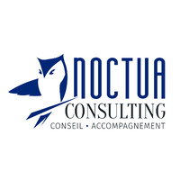 Noctua Consulting