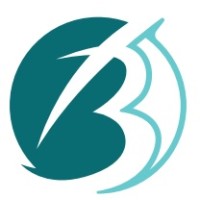 Bullseye International - PK logo - Similar company to 4 Sight