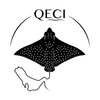 Qeshm Environmental Conservation Institute logo - Similar company to The Leatherback Project