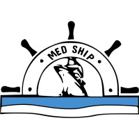 Mediterranean Shipping Agency logo - Similar company to Dahmani Transit International