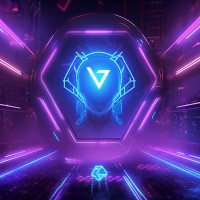 Virtual Alphas logo - Similar company to Force Protocol Ltd