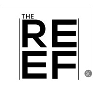 The Reef Holdings logo - Similar company to Seraphicworld