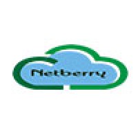 Netberry Technologies logo - Similar company to Netberry Solutions