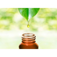 Bhavz Overseas logo - Similar company to Anand Exports