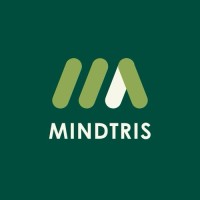 Mindtris Security Solutions logo - Similar company to Mindtris