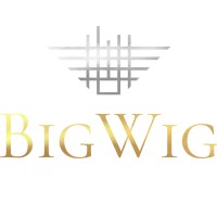 Bigwig Hotel logo - Similar company to Unblur - Creative Agency