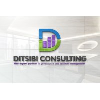 Ditsibi Consulting logo - Similar company to Accountants On Site