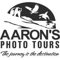 Aaron's Photo Tours (Wildlife Photography Tours & Workshops) logo - Similar company to Dream Photo Tours